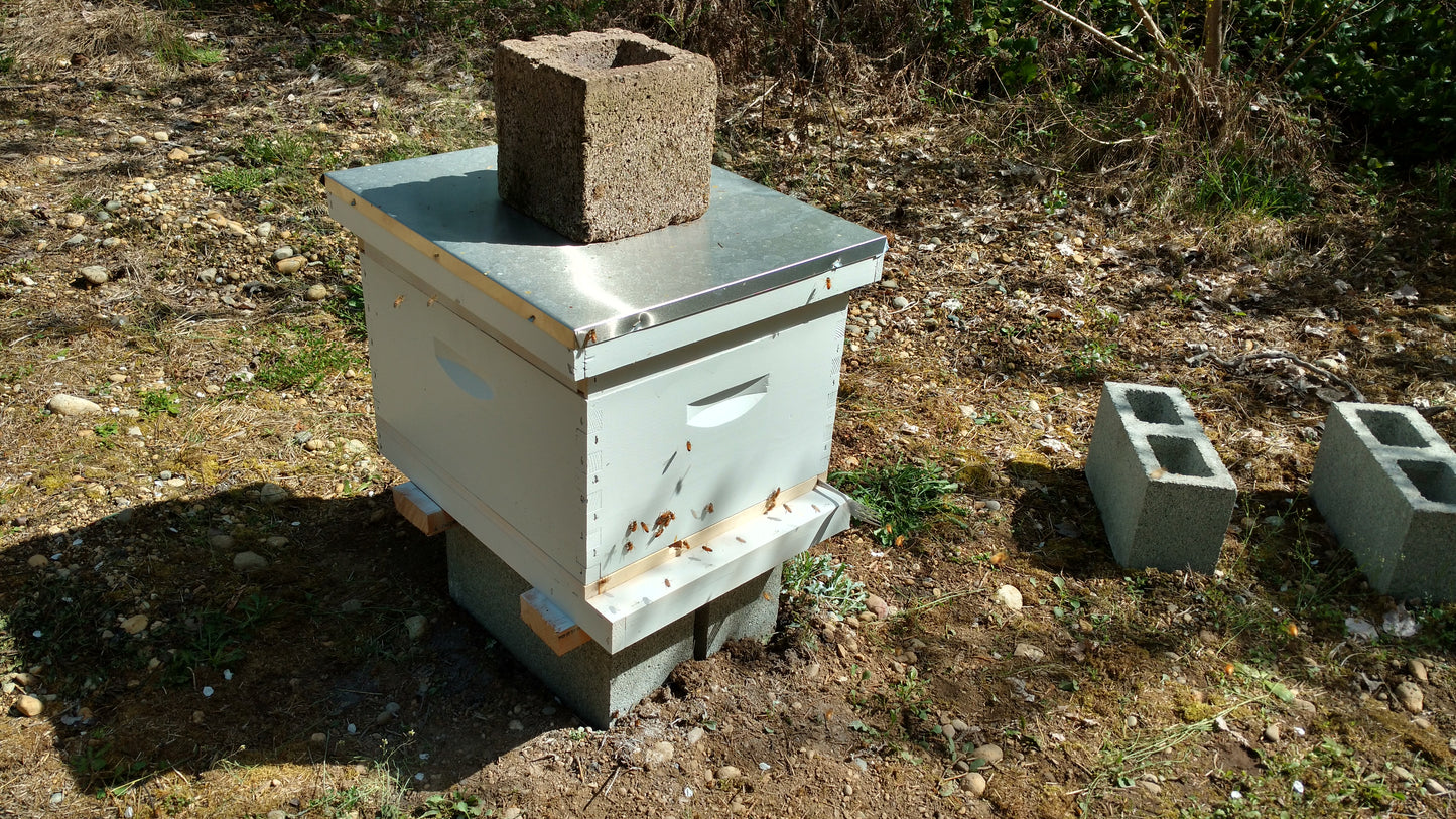 Beginning beekeepers class