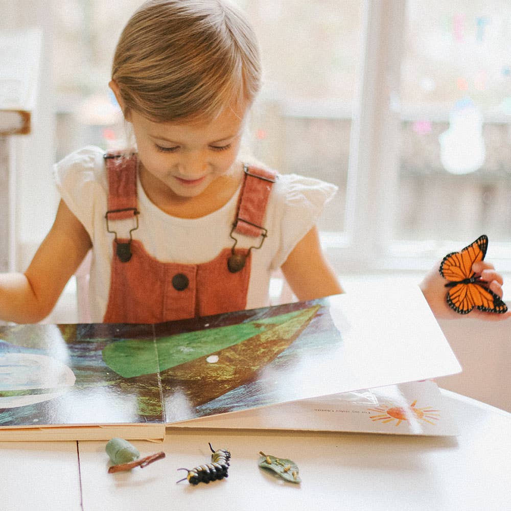 Life Cycle Of A Monarch Butterfly for kids