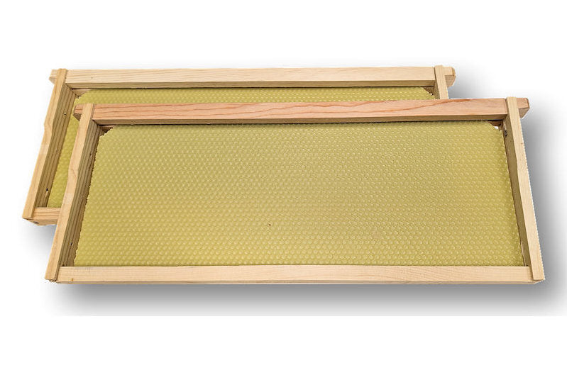 Langstroth frames/foundation