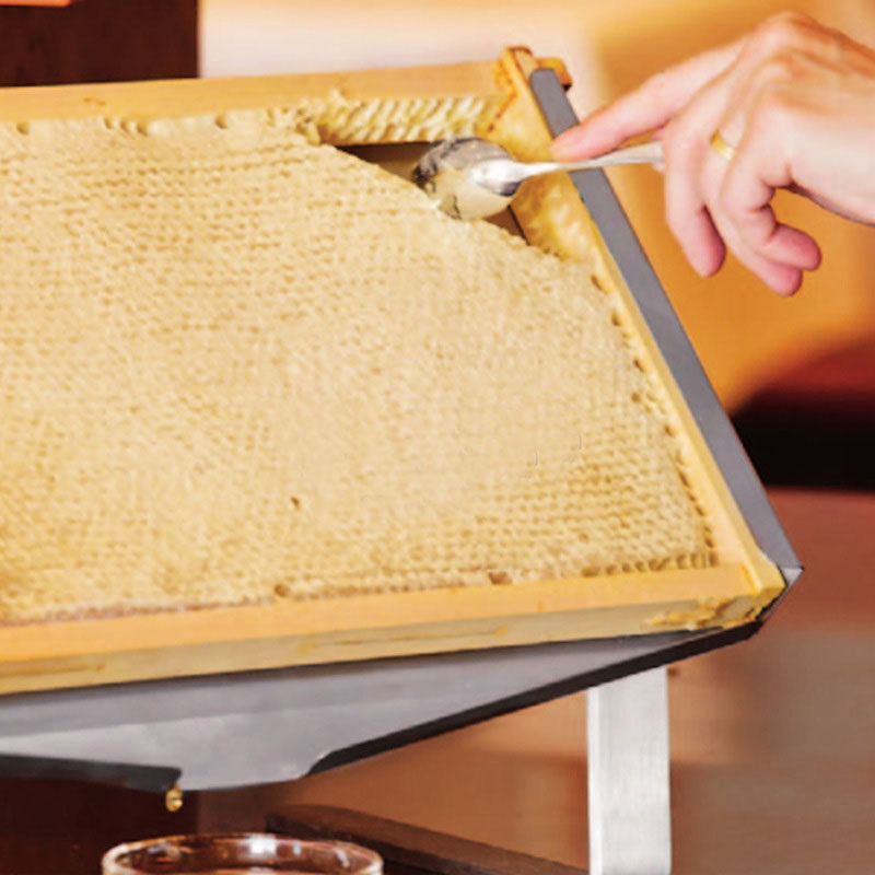 Stainless steel uncapping/queen grafting tray