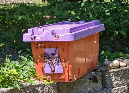 2026 Five-frame nucs - LIMITED TIME UNTIL SUPPLIES RUN OUT!