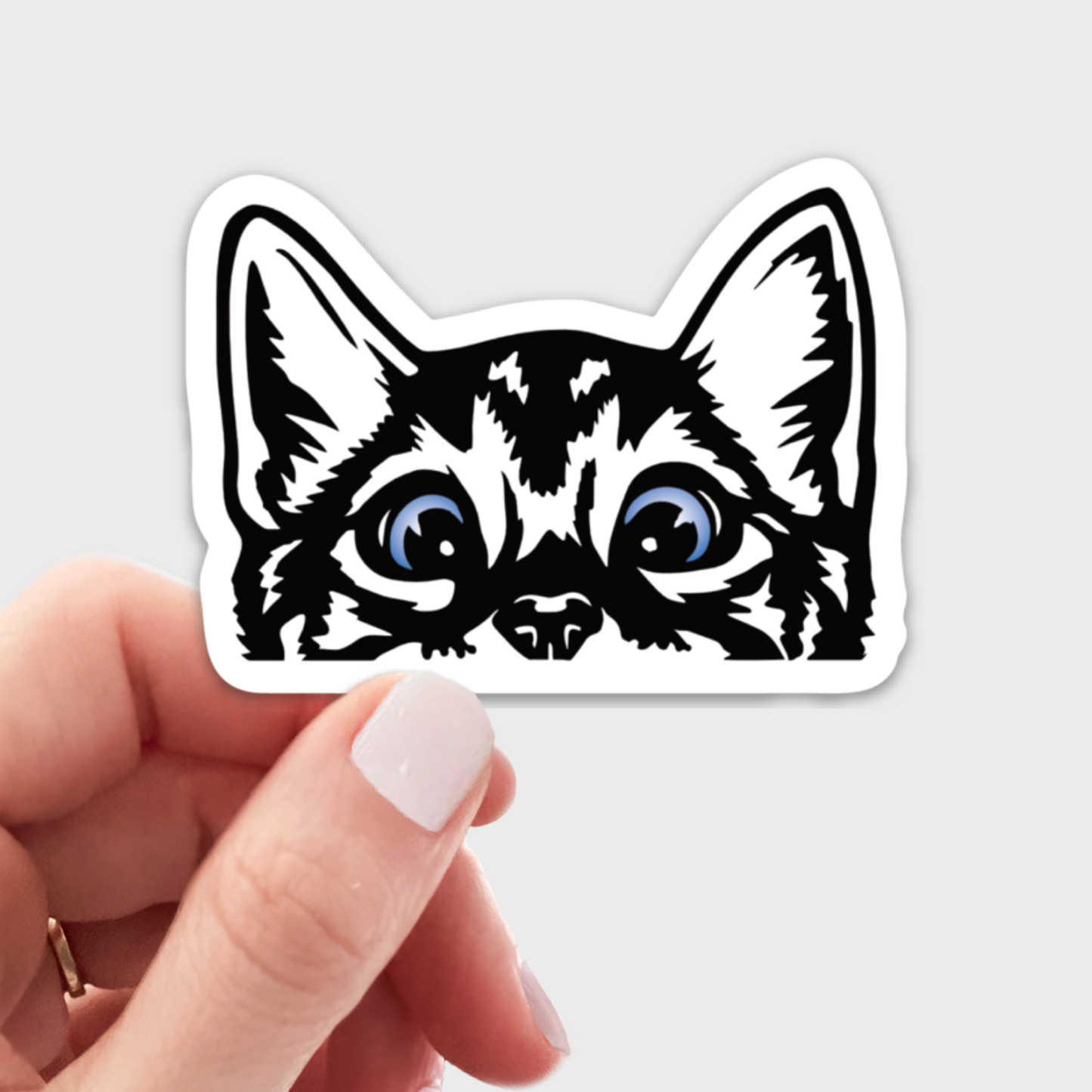 Peeking Kitty Sticker - cat, kitten, blue eyes, animal, pet