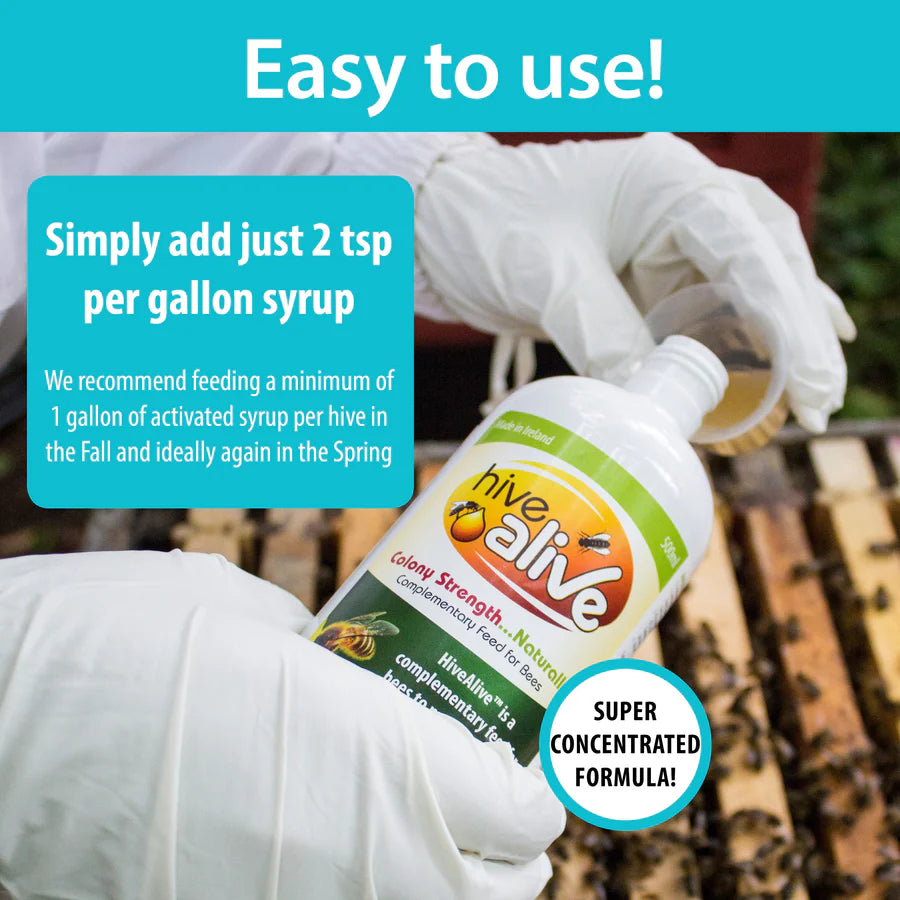 Hive Alive concentrated feeder (16.9 oz)