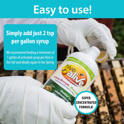 Hive Alive concentrated feeder (16.9 oz)