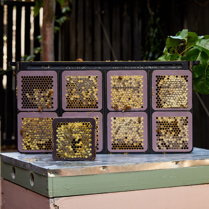 Micro Honey Harvester - 8 Cassettes with Frame - Deep