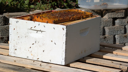 Kitsap Beekeeping local honey