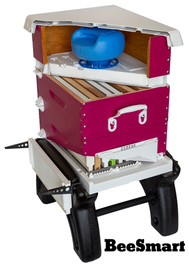 BeeSmart Ultimate Hive DUOSystem