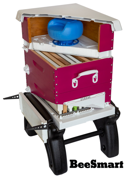 BeeSmart Ultimate Hive DUOSystem