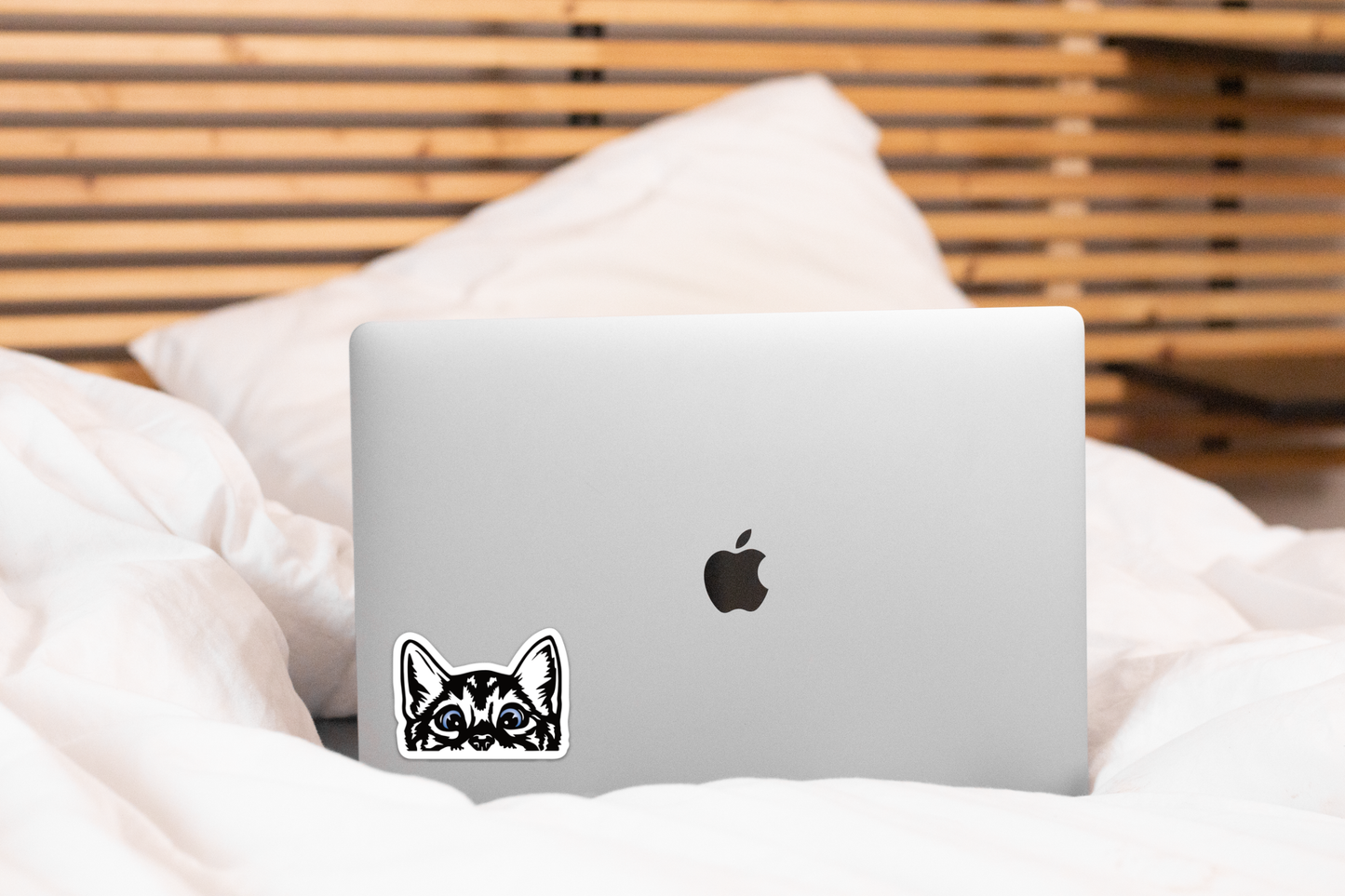 Peeking Kitty Sticker - cat, kitten, blue eyes, animal, pet