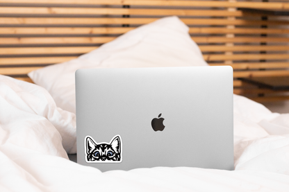 Peeking Kitty Sticker - cat, kitten, blue eyes, animal, pet