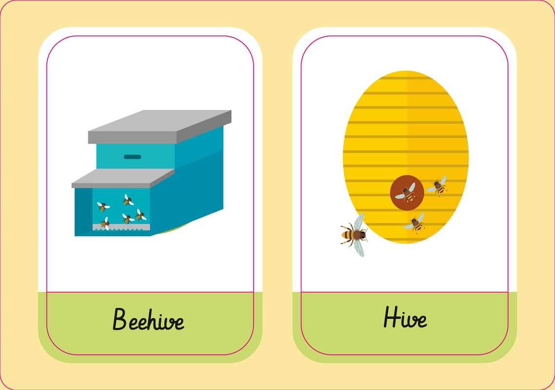 Eco Play: Bees puzzles and games book for kids!