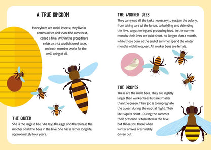 Eco Play: Bees puzzles and games book for kids!