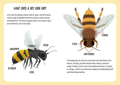Eco Play: Bees puzzles and games book for kids!