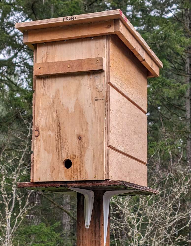 Swarm trap