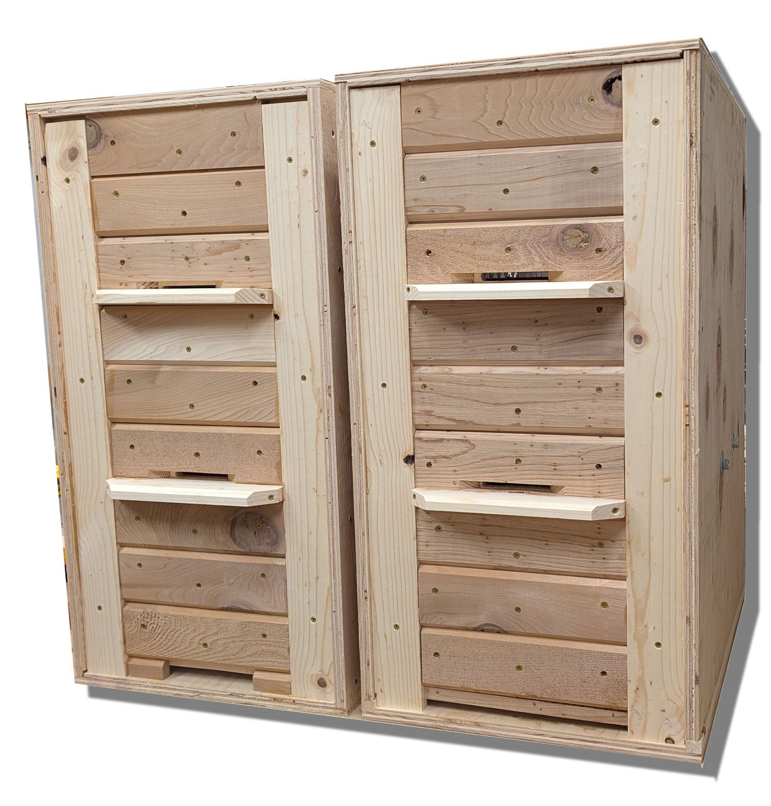 AZ Hive (American/Slovenian)